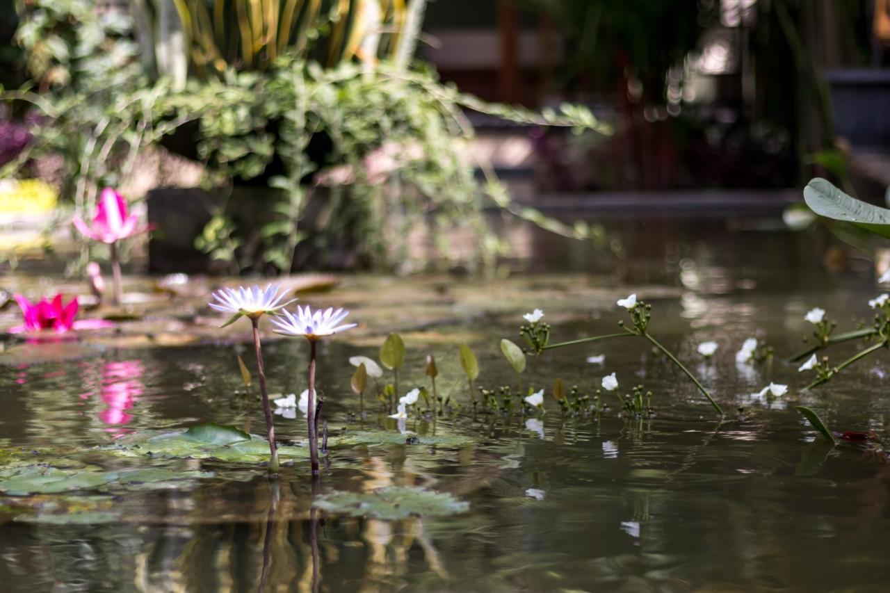 Hidden Padma Retreat Hotel Ubud  Exterior photo